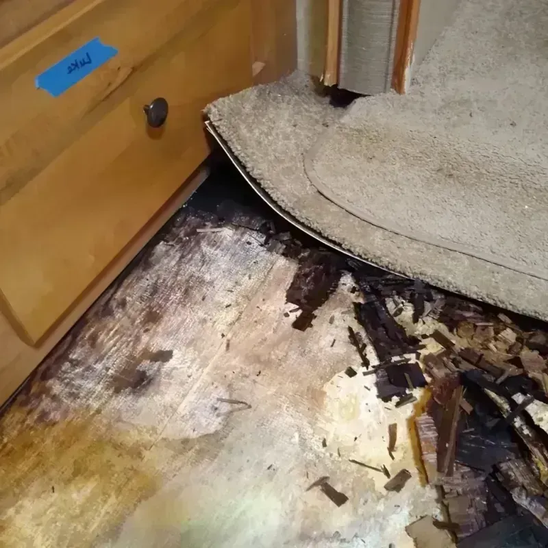 Wood Floor Water Damage in Andalusia, AL